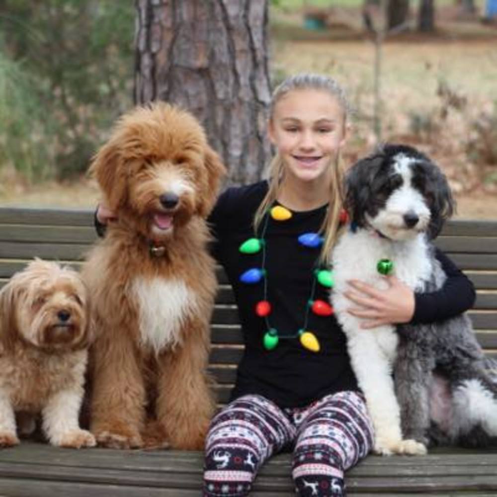 Meet your Posher, Lisa